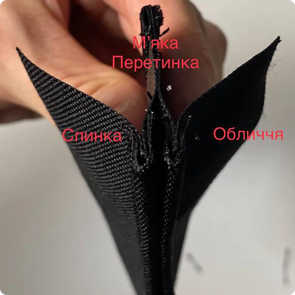Переріз чохла: спинка, м'яка перетинка та обличчя